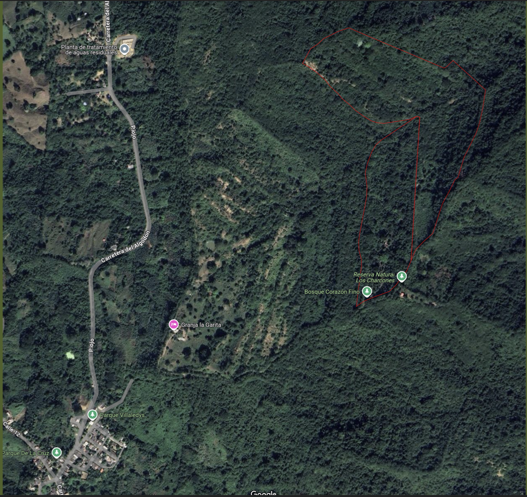 Vista satelital de Bosque Corazón Fino