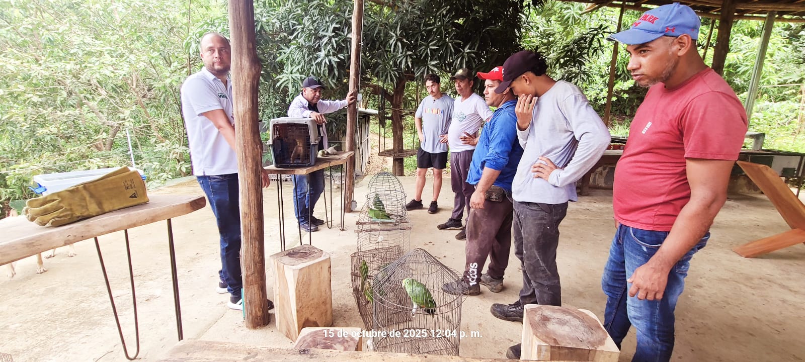 Encuentro del equipo durante una jornada de liberación de fauna