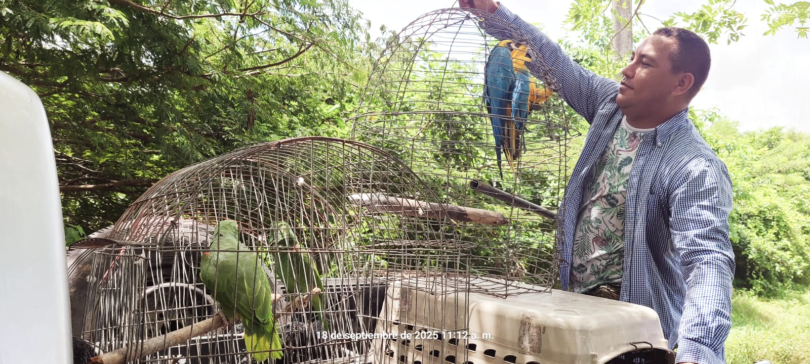 Jornada de liberación de aves en el bosque