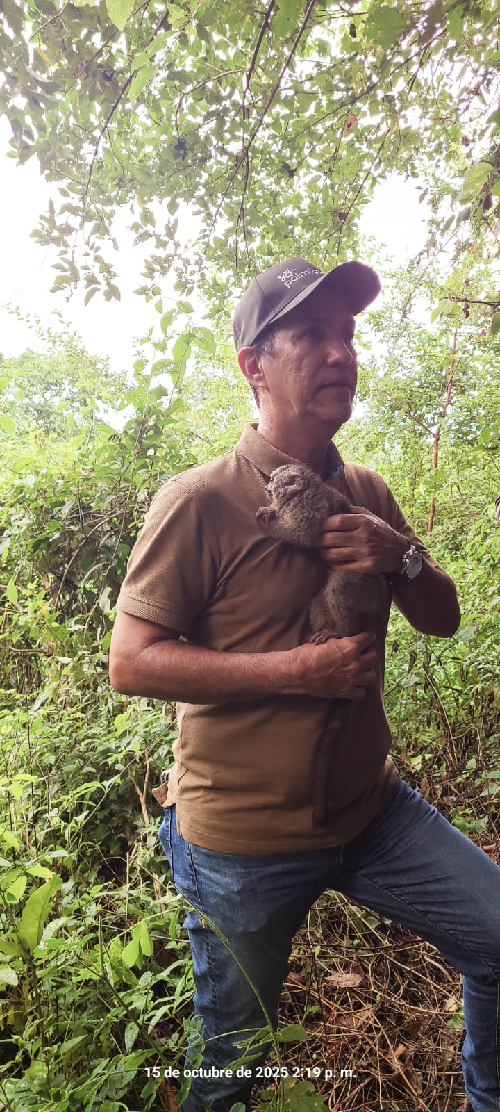 Encuentro con un primate durante una jornada en el bosque